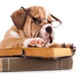 dog-reading-300x221-150x150